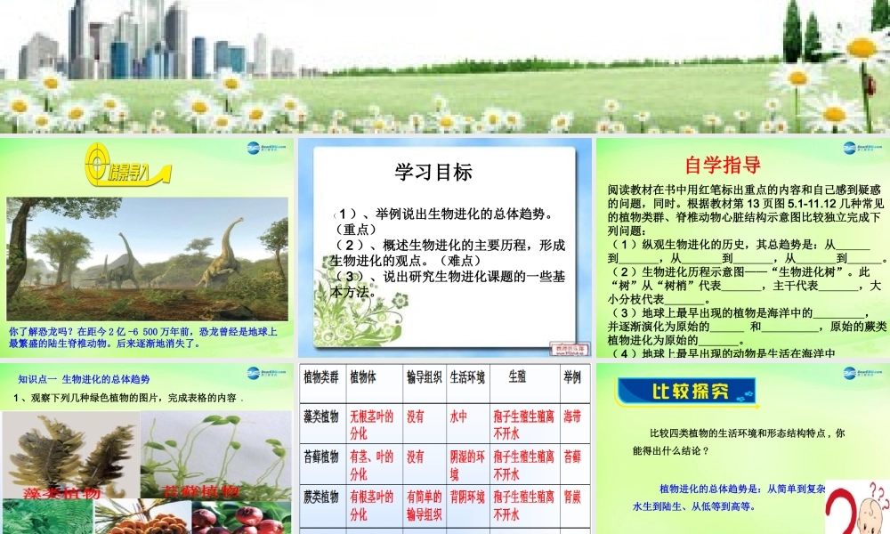 八年级生物下册 5.1.3 生物进化的历程课件2 济南版