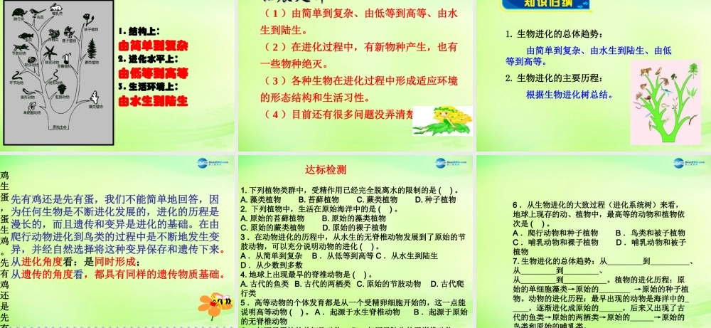 八年级生物下册 5.1.3 生物进化的历程课件2 济南版