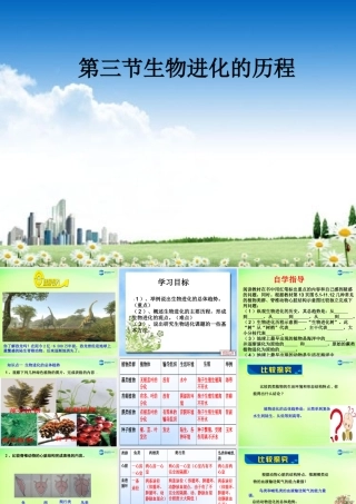 八年级生物下册 5.1.3 生物进化的历程课件2 济南版