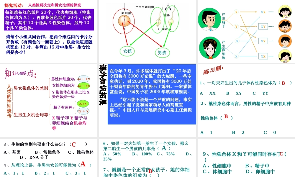 八年级生物下册 7.2.4人的性别遗传公开课教学课件 （新版）新人教版-（新版）新人教版初中八年级下册生物课件
