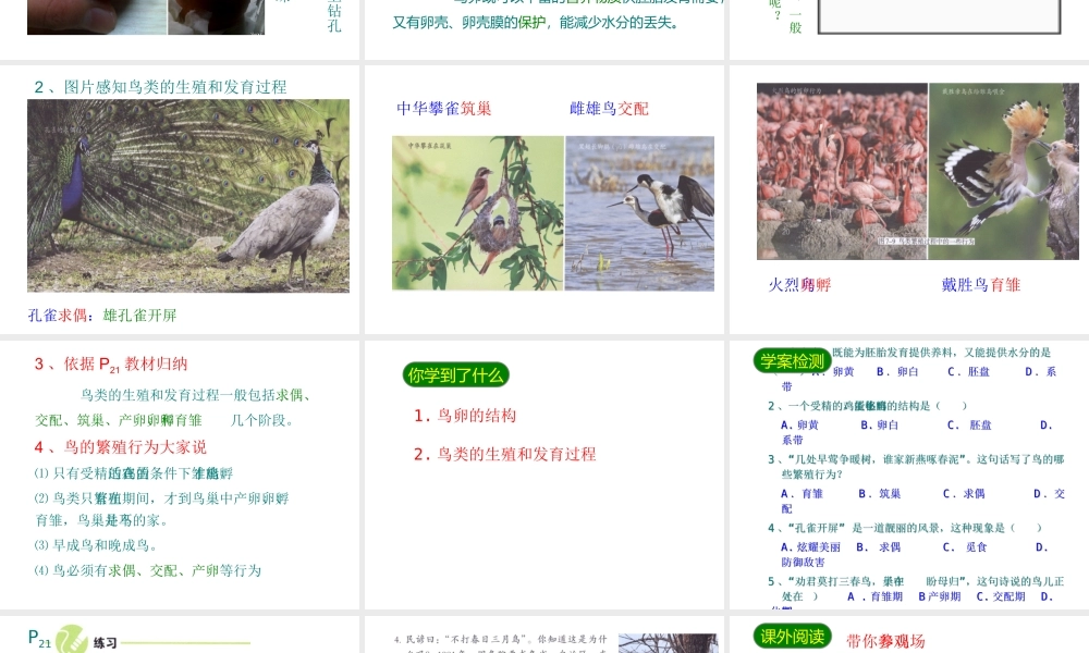 八年级生物下册 7.1.4鸟的生殖和发育课件3 （新版）新人教版-（新版）新人教级下册生物课件