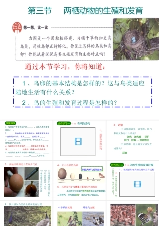 八年级生物下册 7.1.4鸟的生殖和发育课件3 （新版）新人教版-（新版）新人教级下册生物课件