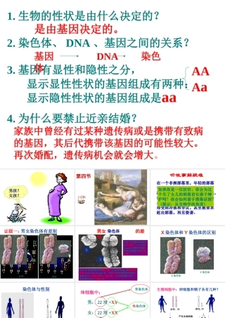 八年级生物下册 7.2.4人的性别遗传公开课教学课件 （新版）新人教版-（新版）新人教级下册生物课件