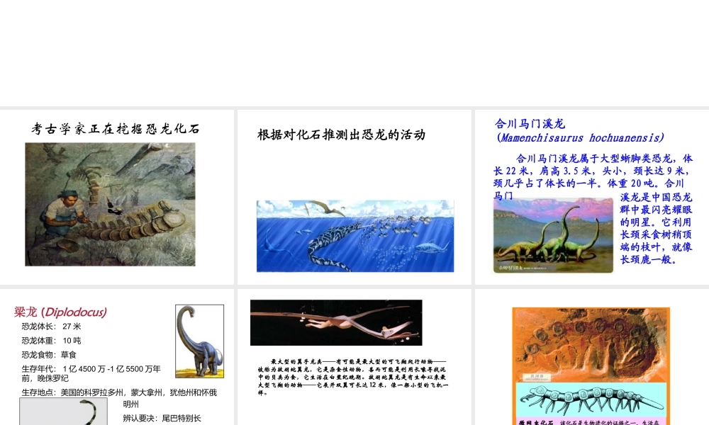 八年级生物下册 5.1.3《生物进化的历程》课件 济南版