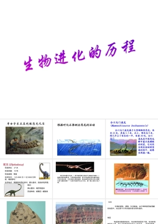 八年级生物下册 5.1.3《生物进化的历程》课件 济南版