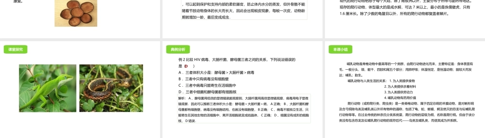 八年级生物下册 13.6 动物课件 北京课改版-北京课改级下册生物课件