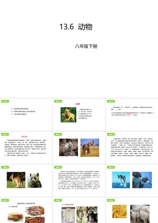 八年级生物下册 13.6 动物课件 北京课改版-北京课改级下册生物课件