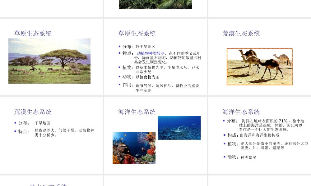 八年级生物下册 6.1.4《生态系统的类型》课件 济南版