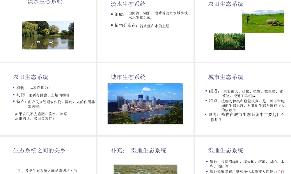 八年级生物下册 6.1.4《生态系统的类型》课件 济南版