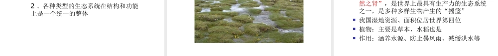 八年级生物下册 6.1.4《生态系统的类型》课件 济南版