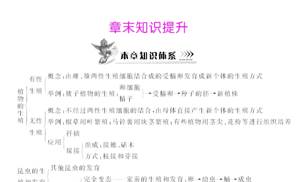 八年级生物下册 7.1《章末知识提升》配套课件 人教新课标版