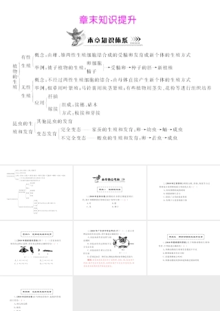 八年级生物下册 7.1《章末知识提升》配套课件 人教新课标版