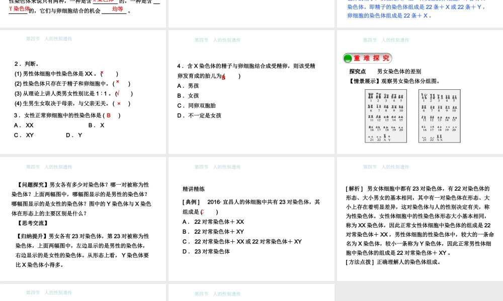 八年级生物下册 7.2.4人的性别遗传课件 （新版）新人教版-（新版）新人教版初中八年级下册生物课件