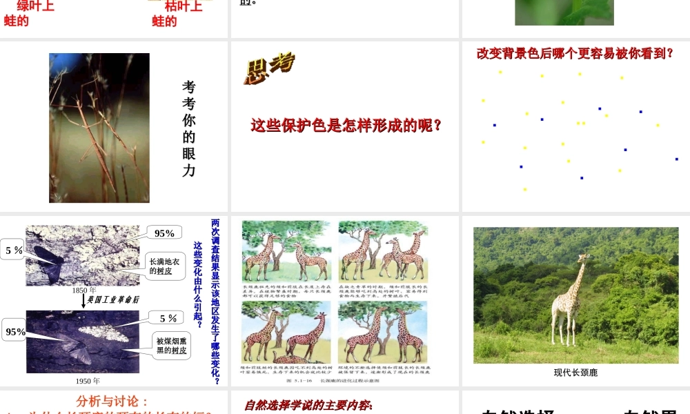 八年级生物下册 5.1.4 生物进化的原因课件 （新版）济南版-（新版）济南版初中八年级下册生物课件