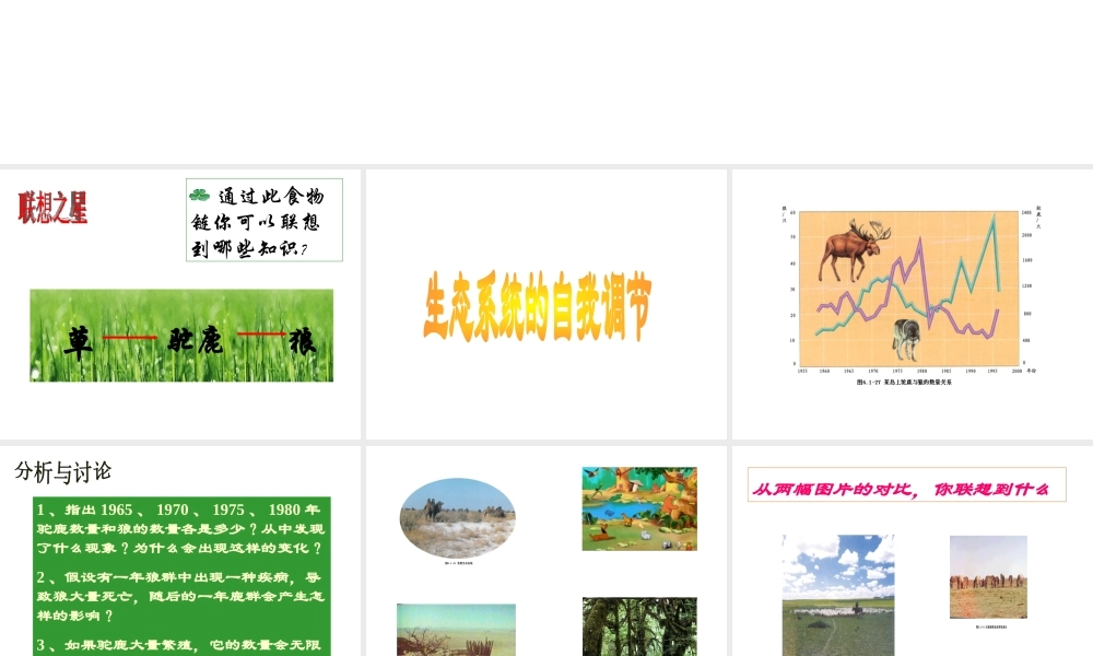 八年级生物下册 6.1.5《生态系统的自我调节》课件 济南版