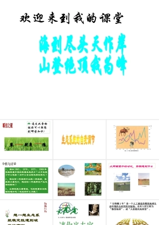 八年级生物下册 6.1.5《生态系统的自我调节》课件 济南版