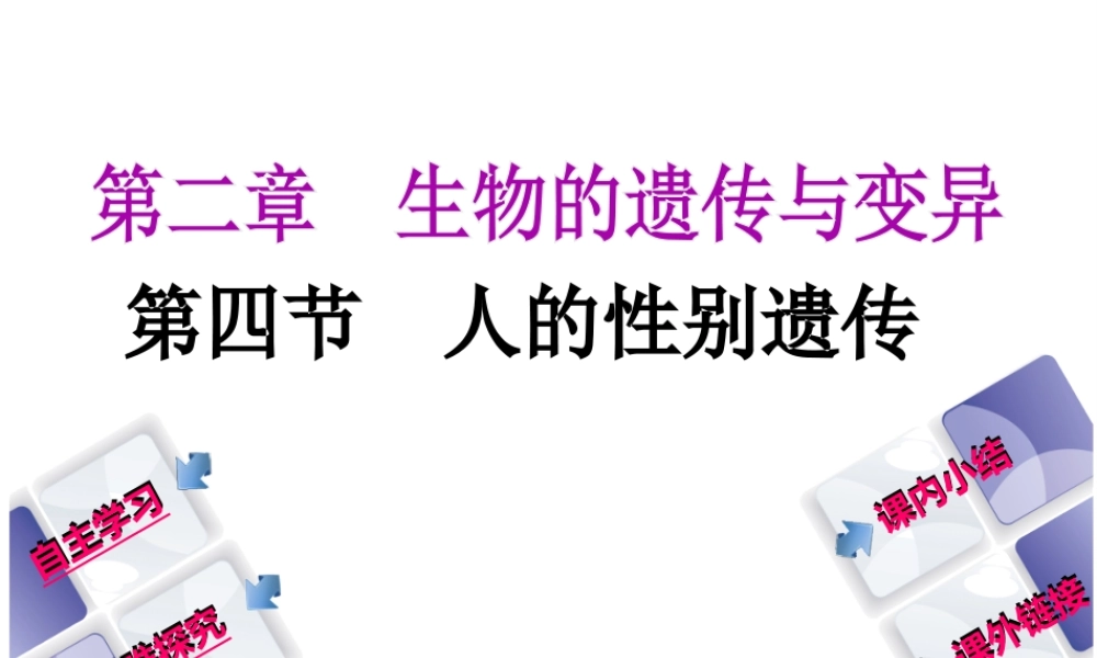 八年级生物下册 7.2.4人的性别遗传课件 （新版）新人教版-（新版）新人教级下册生物课件