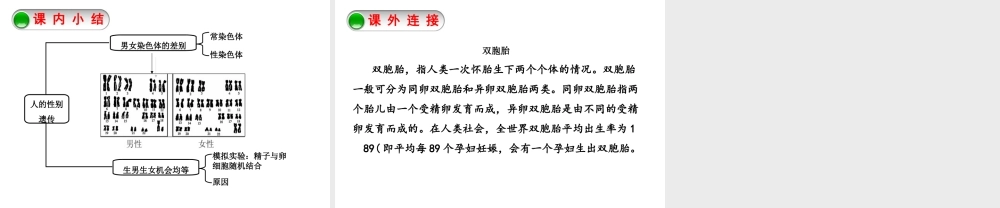 八年级生物下册 7.2.4人的性别遗传课件 （新版）新人教版-（新版）新人教级下册生物课件