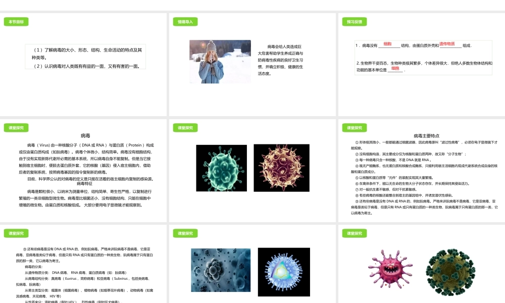 八年级生物下册 13.7 病毒课件 北京课改版-北京课改版初中八年级下册生物课件