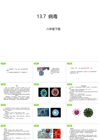 八年级生物下册 13.7 病毒课件 北京课改版-北京课改版初中八年级下册生物课件