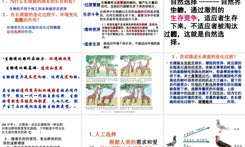 八年级生物下册 5.1.4 生物进化的原因课件 （新版）济南版-（新版）济南级下册生物课件