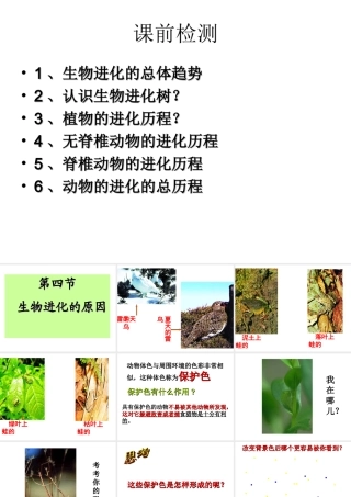 八年级生物下册 5.1.4 生物进化的原因课件 （新版）济南版-（新版）济南级下册生物课件