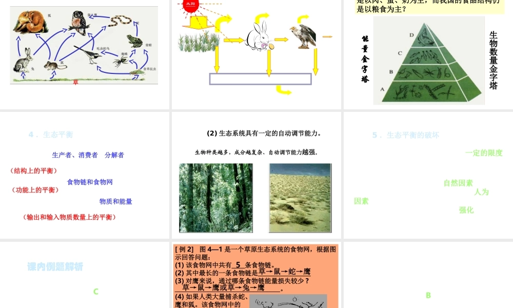 八年级生物下册 6.1《生态系统》复习课件 济南版