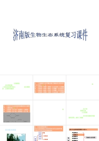 八年级生物下册 6.1《生态系统》复习课件 济南版