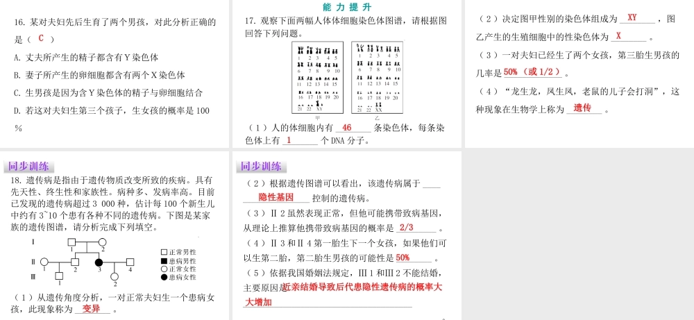 八年级生物下册 7.2.4人的性别遗传课件（新版）新人教版-（新版）新人教版初中八年级下册生物课件