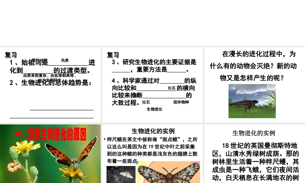 八年级生物下册 5.1.4 生物进化的原因课件 济南版