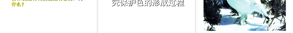 八年级生物下册 5.1.4 生物进化的原因课件 济南版