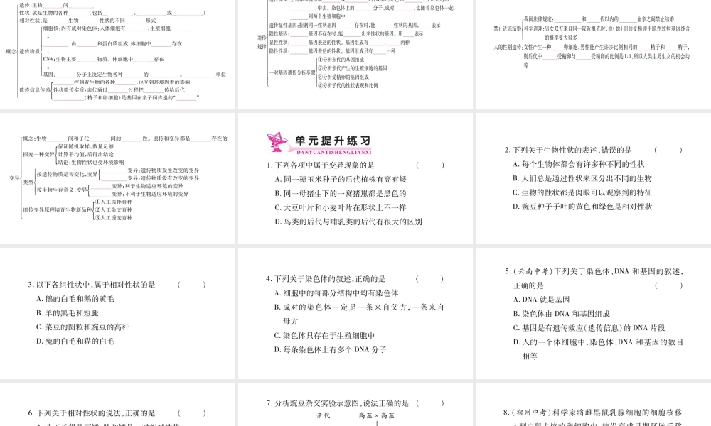八年级生物下册 7.2 生物的遗传和变异单元归纳提升课件 （新版）新人教版-（新版）新人教版初中八年级下册生物课件
