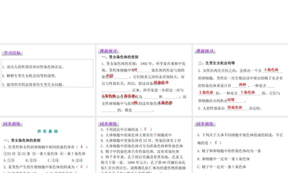八年级生物下册 7.2.4人的性别遗传课件（新版）新人教版-（新版）新人教级下册生物课件
