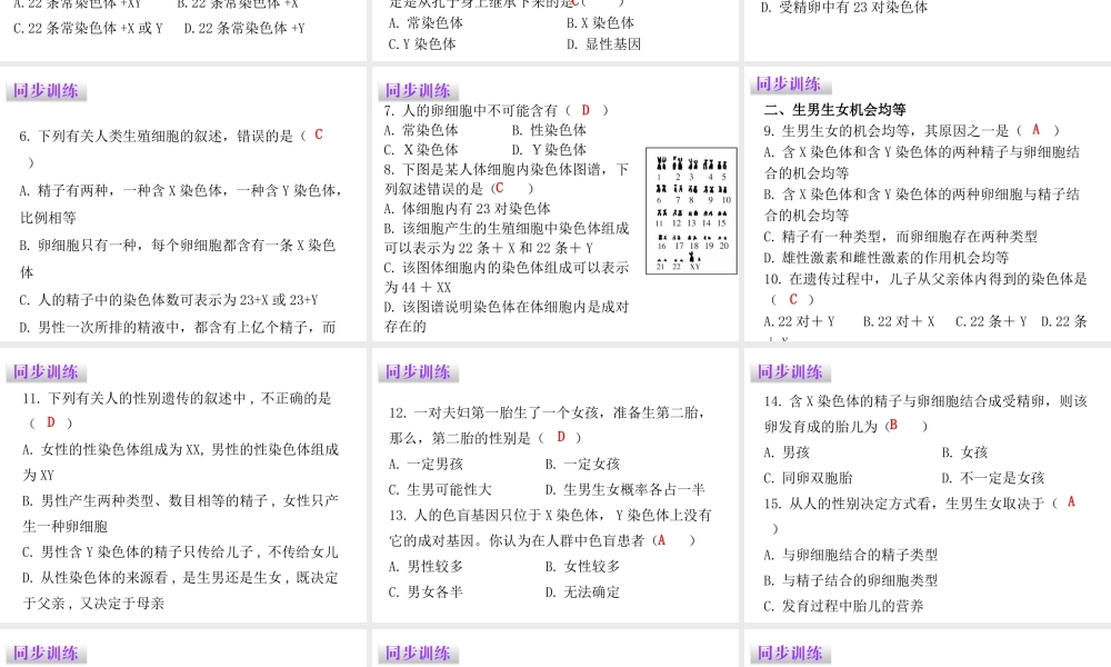 八年级生物下册 7.2.4人的性别遗传课件（新版）新人教版-（新版）新人教级下册生物课件