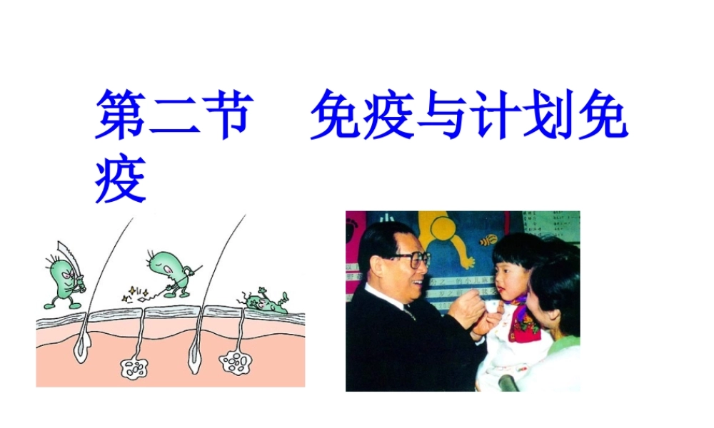 八年级生物下册 8.1.2免疫与计划免疫课件1 （新版）新人教版-（新版）新人教版初中八年级下册生物课件