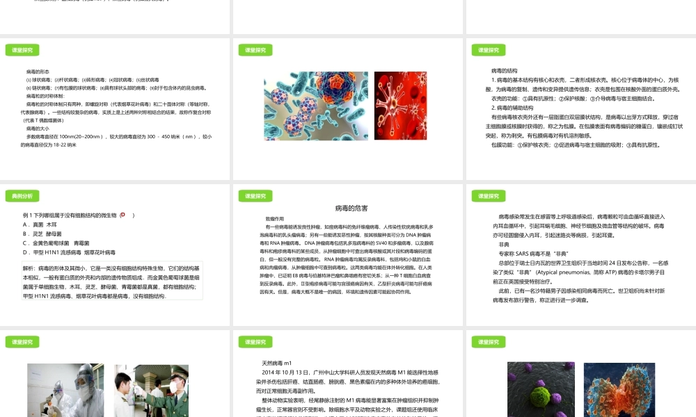 八年级生物下册 13.7 病毒课件 北京课改版-北京课改级下册生物课件