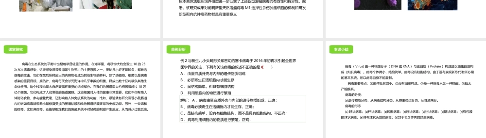 八年级生物下册 13.7 病毒课件 北京课改版-北京课改级下册生物课件