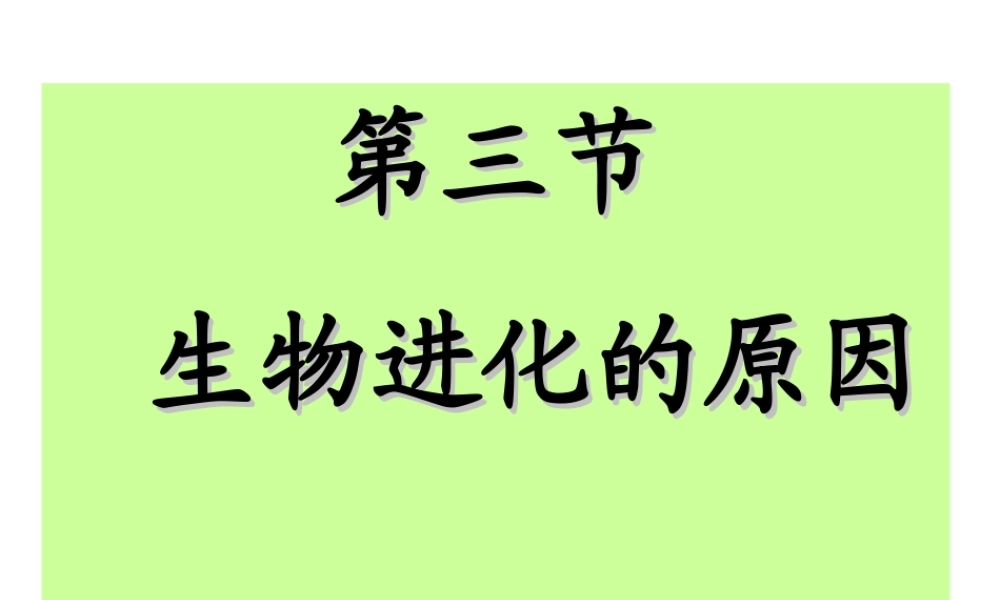 八年级生物下册 5.1.4《生物进化的原因》课件 济南版