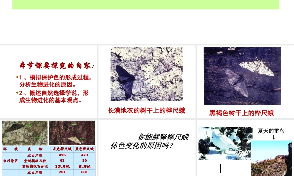 八年级生物下册 5.1.4《生物进化的原因》课件 济南版
