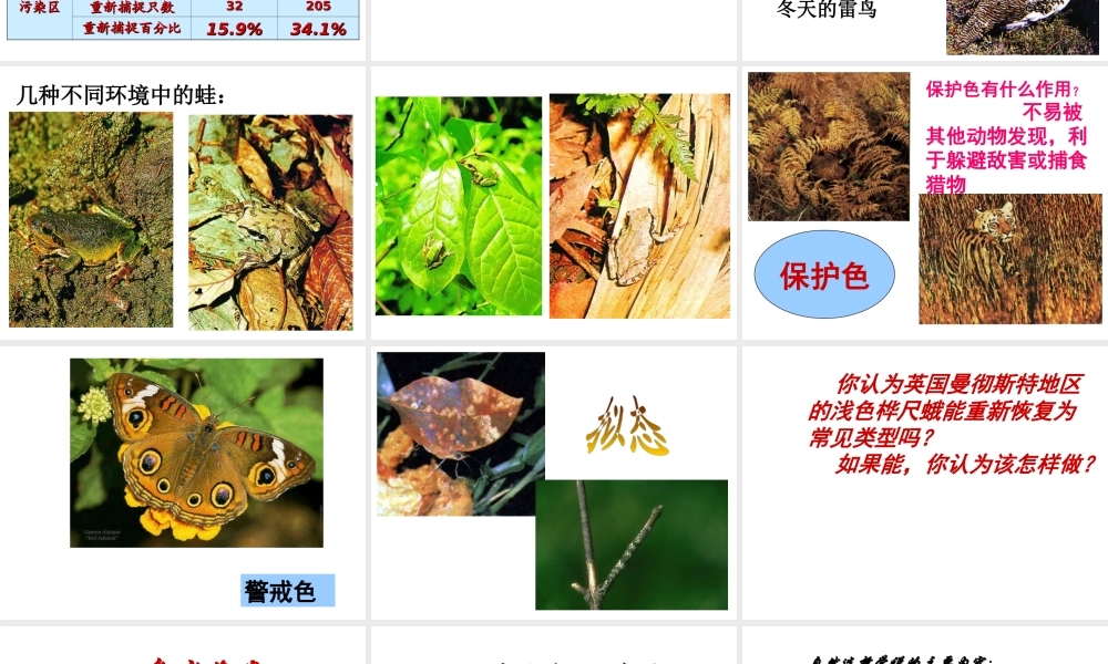 八年级生物下册 5.1.4《生物进化的原因》课件 济南版