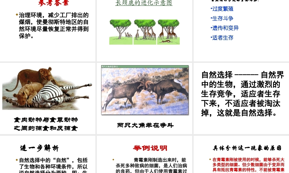 八年级生物下册 5.1.4《生物进化的原因》课件 济南版