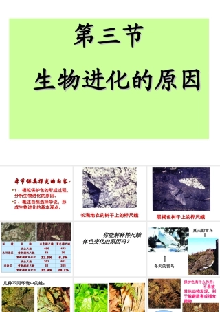 八年级生物下册 5.1.4《生物进化的原因》课件 济南版