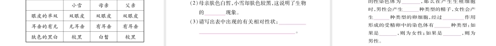 八年级生物下册 7.2 生物的遗传和变异单元归纳提升课件 （新版）新人教版-（新版）新人教级下册生物课件