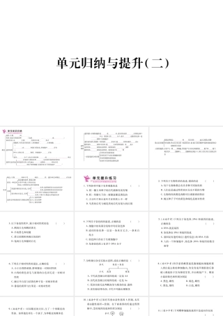 八年级生物下册 7.2 生物的遗传和变异单元归纳提升课件 （新版）新人教版-（新版）新人教级下册生物课件