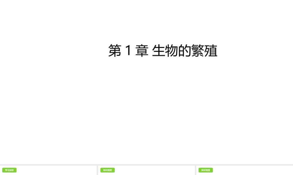 八年级生物下册 6.1生物的繁殖课件 （新版）冀教版-（新版）冀教级下册生物课件