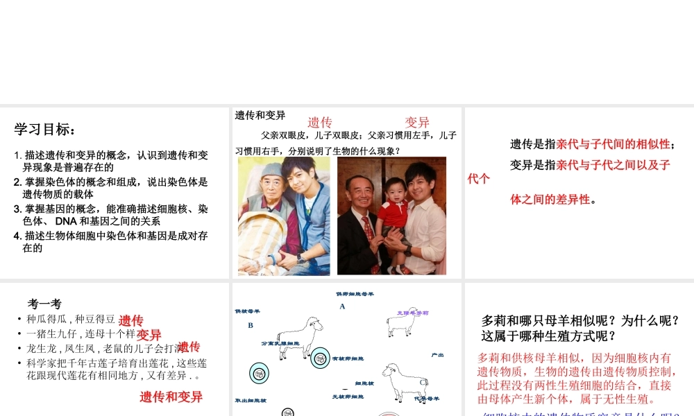 八年级生物下册 7.2 生物的遗传和变异课件 新人教版-新人教版初中八年级下册生物课件