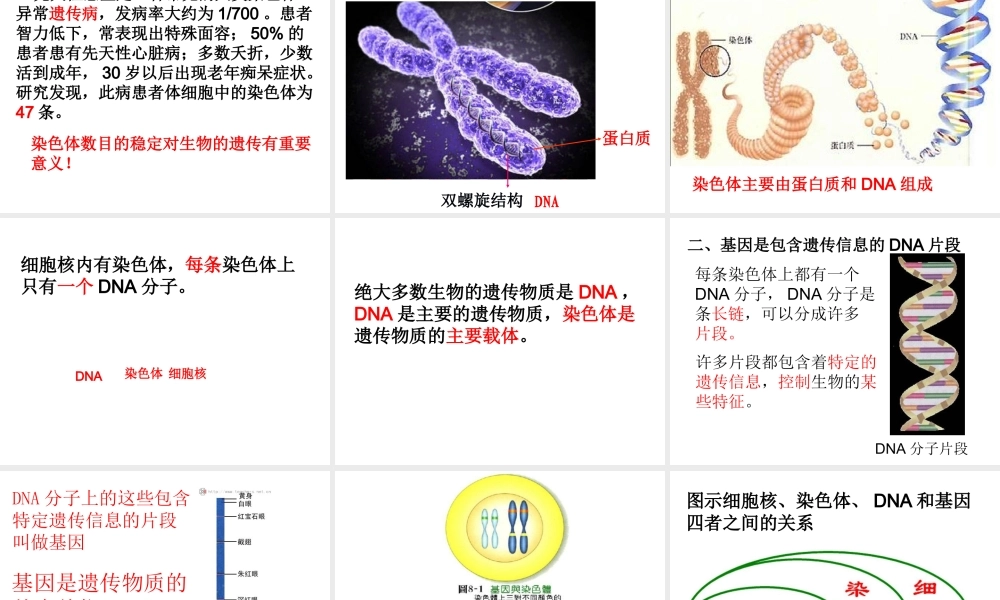 八年级生物下册 7.2 生物的遗传和变异课件 新人教版-新人教版初中八年级下册生物课件