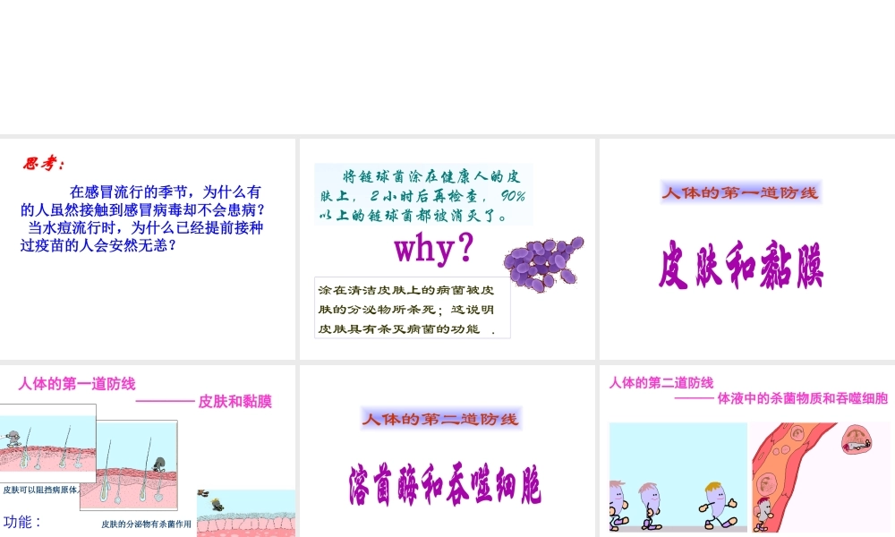 八年级生物下册 8.1.2免疫与计划免疫课件2 （新版）新人教版-（新版）新人教版初中八年级下册生物课件