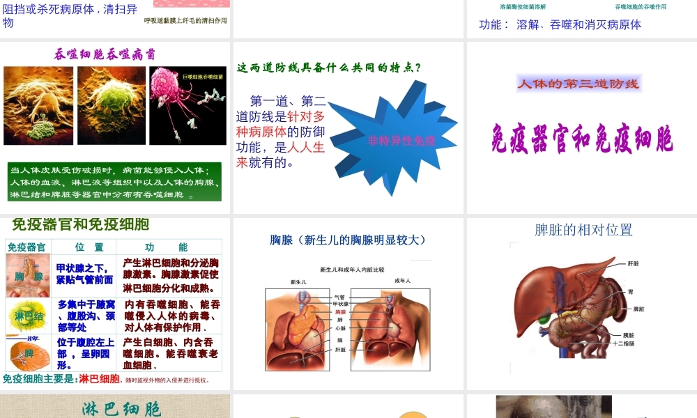 八年级生物下册 8.1.2免疫与计划免疫课件2 （新版）新人教版-（新版）新人教版初中八年级下册生物课件