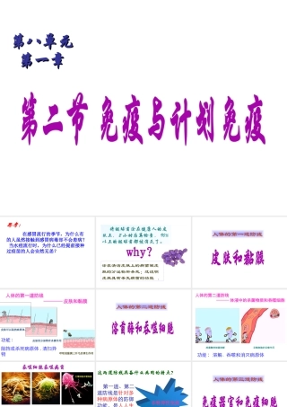 八年级生物下册 8.1.2免疫与计划免疫课件2 （新版）新人教版-（新版）新人教版初中八年级下册生物课件